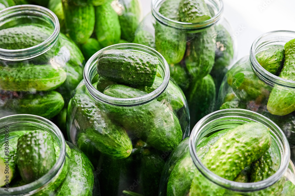 Preservation of fresh home cucumbers in glass jars. Close-up, selective focus Preservation of fresh home cucumbers in glass jars. Close-up, selective focus