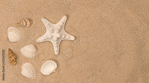 A starfish and seashells on the sandy beach