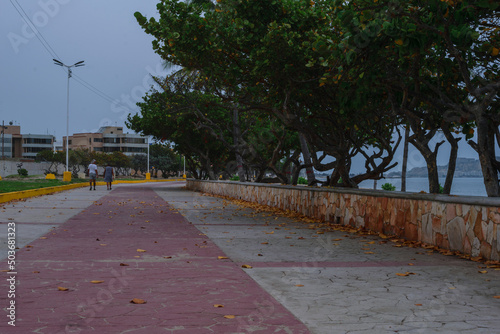 The path is from a Boulevard on the beach. People can be seen walking, collecting leaves and on motorcycles, trees, lifeguard structures, showers, sliding concrete benches, trees, the horizon, highway