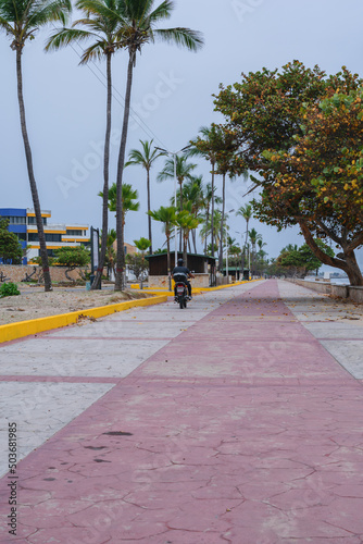 The path is from a Boulevard on the beach. People can be seen walking, collecting leaves and on motorcycles, trees, lifeguard structures, showers, sliding concrete benches, trees, the horizon, highway