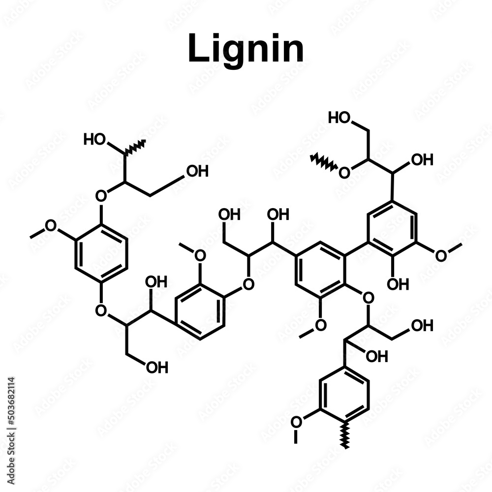 Lignin Fiber Molecule. Chemical Structure. Skeletal Formula. Vector