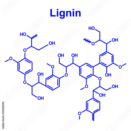 Lignin Fiber Molecule. Chemical Structure. Skeletal Formula. Vector Illustration.