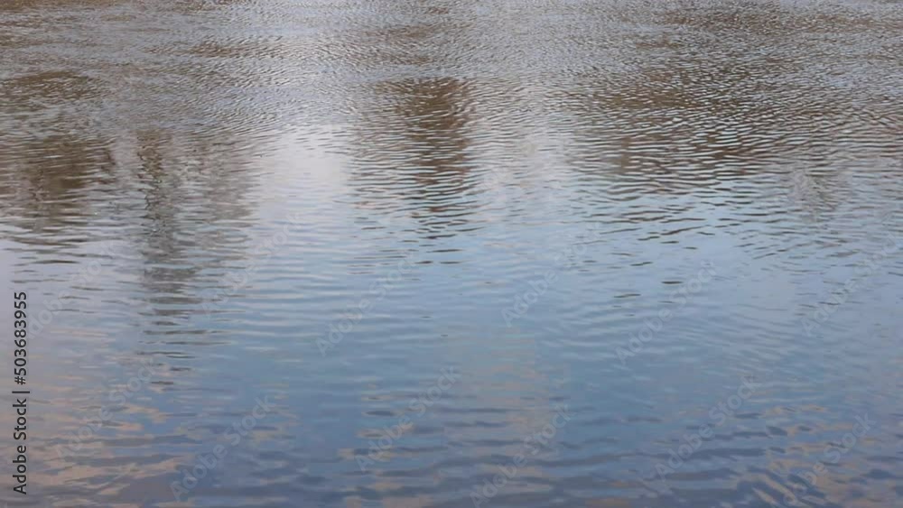 calm water in the reservoir. ripples on the water calm water in the reservoir. ripples on the water