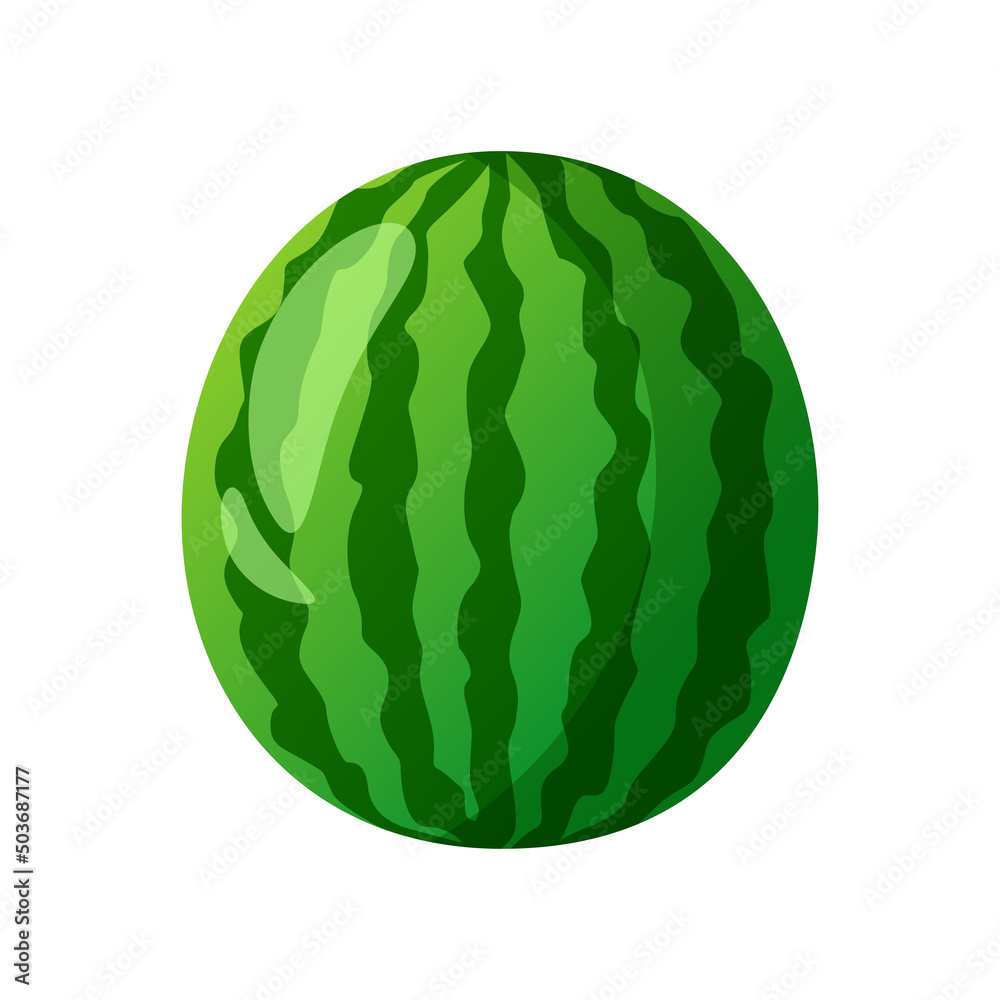 Fresh whole watermelon isolated on white background. Summer fruits for healthy lifestyle. Organic food. Cartoon style vector illustration. Fresh whole watermelon isolated on white background. Summer fruits for healthy lifestyle. Organic food. Cartoon style vector illustration.