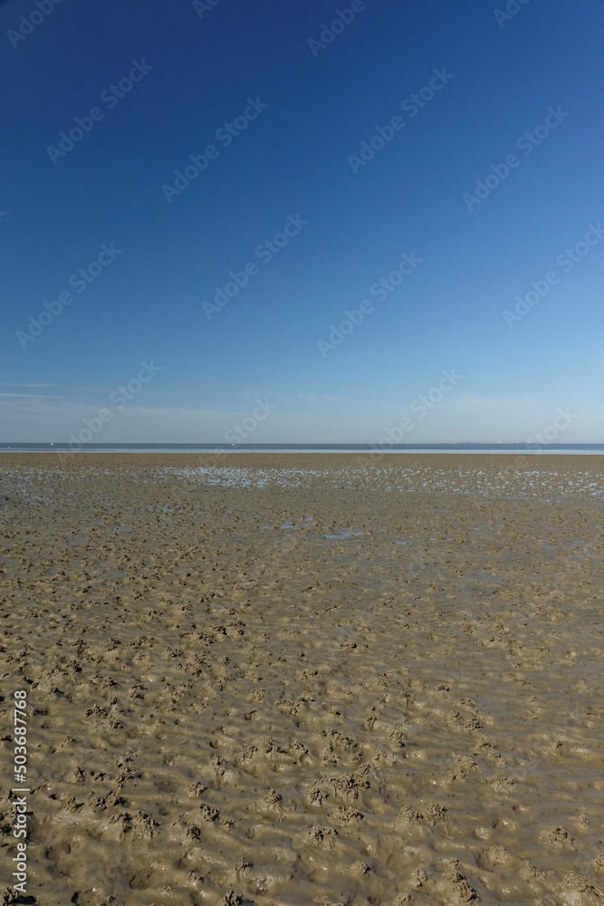 Wet North Sea beach at low tide under a blue spring sky (vertical), Sahlenburg, Lower Saxony, Germany
