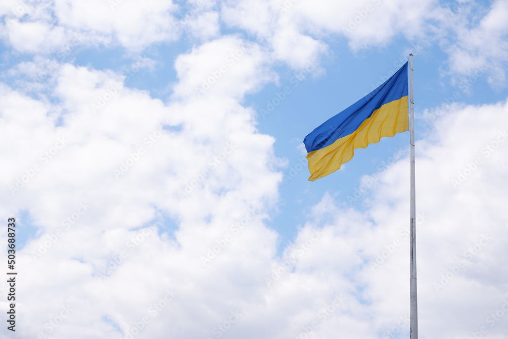 Flag of Ukraine on a high flagpole isolated against a blue sky and red tulips in the foreground. Symbols of Ukraine. Sun rays. The concept of freedom of an independent free country. Flag of Ukraine on a high flagpole isolated against a blue sky and red tulips in the foreground. Symbols of Ukraine. Sun rays. The concept of freedom of an independent free country.