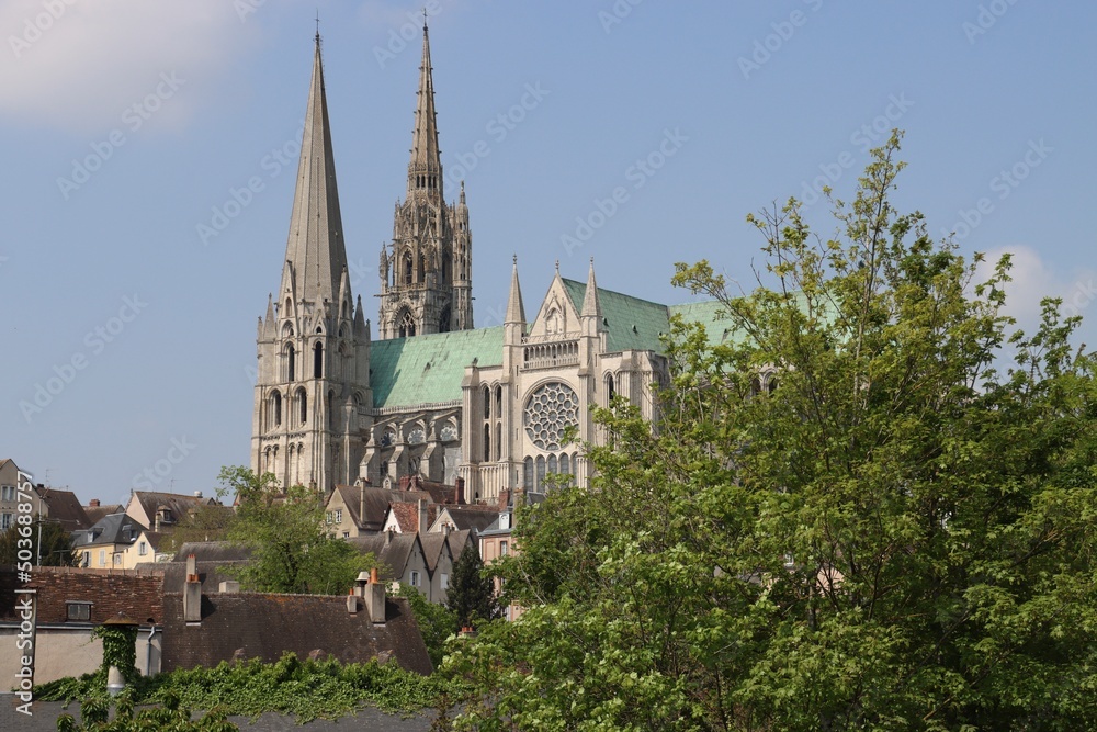 Obraz premium cathedral of notre dame Chartres 