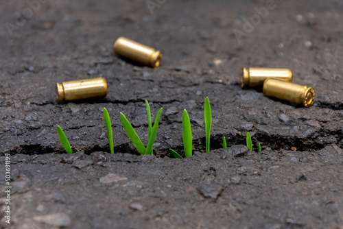 Grass grows through cracks in the asphalt, yellow cartridges are scattered, close-up. Concept: a new life after the war, military operations, revival and restoration.