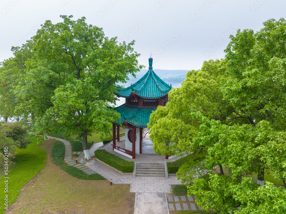 Spring scenery of East Lake Scenic Area in Wuhan, Hubei Spring scenery of East Lake Scenic Area in Wuhan, Hubei