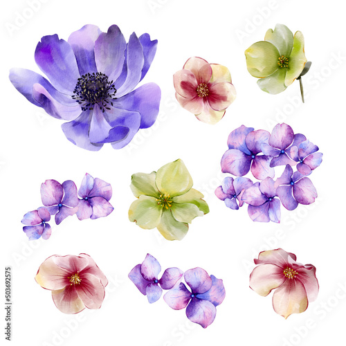 Set of watercolor illustrations of flowers. Elements isolated on white background for your design.