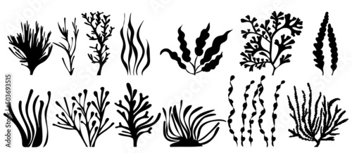 set of algae silhouette, on white background, isolated, vector