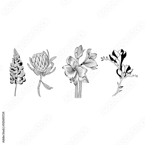 big set of flowers sketches. Hand-drawn. design greeting card and invitation ...