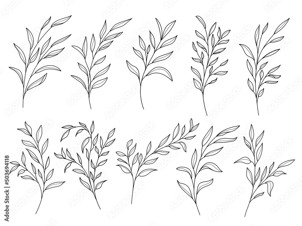 Naklejka premium Line art leaf illustration vector on white background