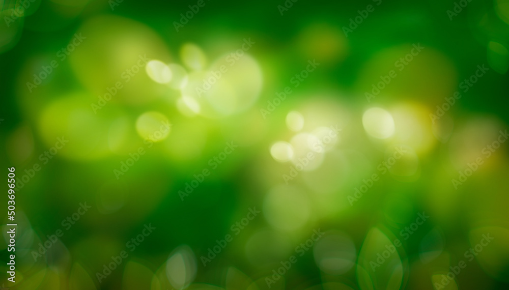 A spring background of fresh lush green foliage with blurred bokeh. A spring background of fresh lush green foliage with blurred bokeh.