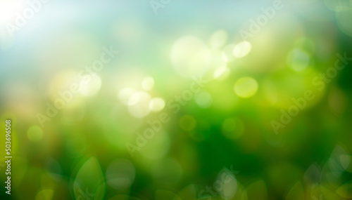 Obraz na płótnie A spring, summer background of fresh lush green foliage and blue sky with blurred bokeh highlights. w salonie