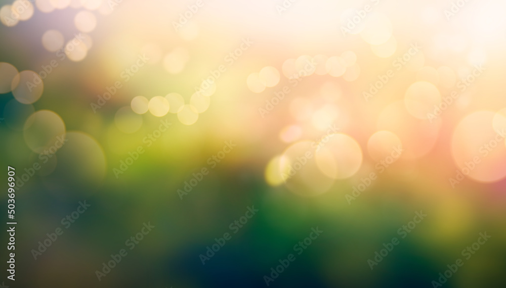 A summer sunset, sunrise background with lush green foliage and orange glow sky with blurred spring bokeh highlights.