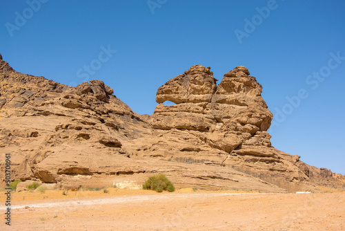 Landscape of Rock Art in the Ha'il Region, Saudi Arabia