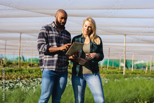 African american agronomist discussing with female caucasian coworker over digital pc in greenhouse photo