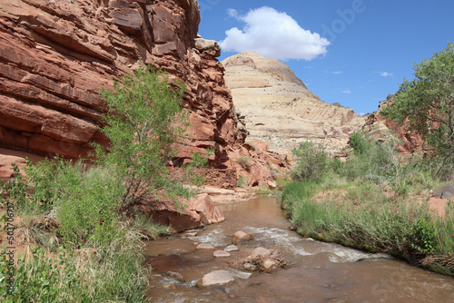 Beautiful view of the Fremon River flowing in rugged rock facade in Zion National Park, Utah, USA photo