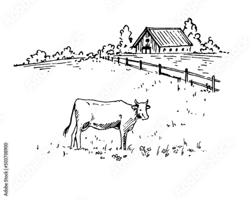 Hand drawn vector landscape with village house and cows grazing in the meadow. Ideal for banner and packaging design.