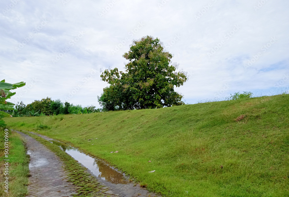 road in the countryside