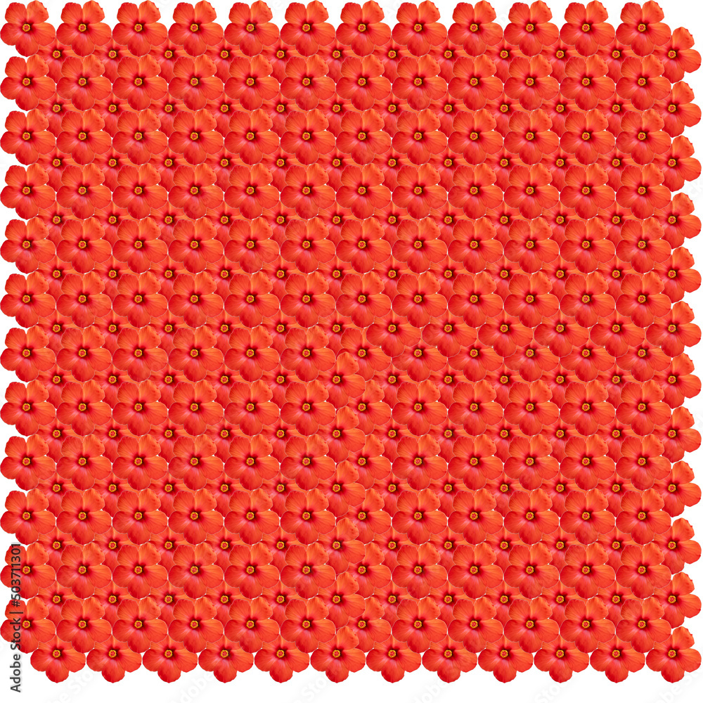 A pattern from a photo of a red flower. Texture for background and design A pattern from a photo of a red flower. Texture for background and design