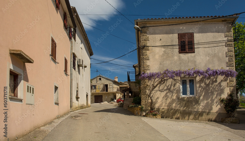 Old residential buildings in the historic little medieval village of Vrh near Buzet in Istria, western Croatia
