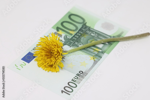 Yellow dandelion lies on a banknote close-up, financial plans in the spring. photo