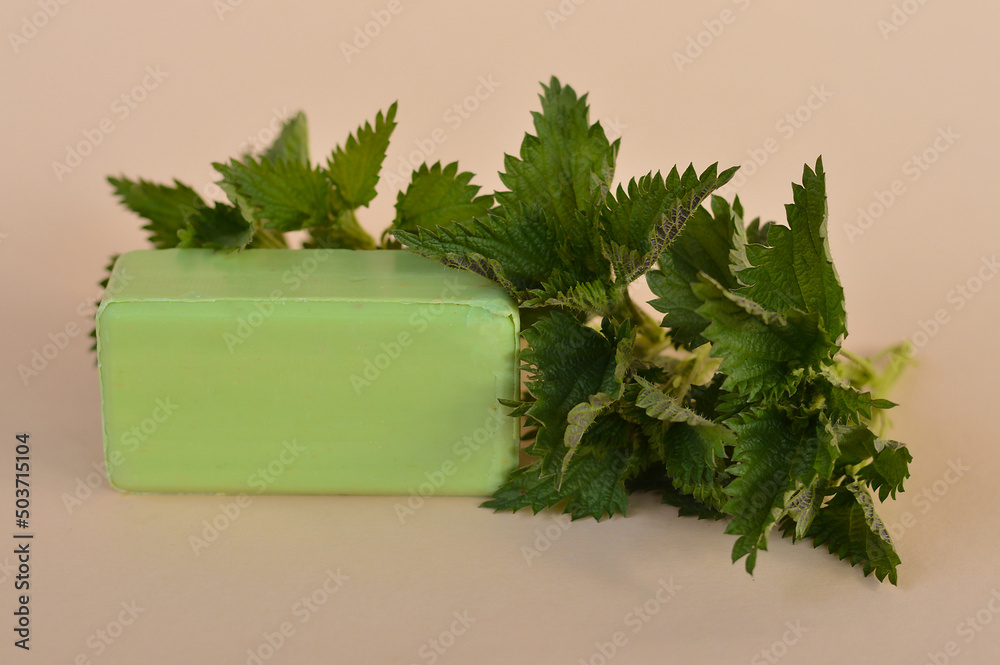 Fototapeta premium A piece of homemade green soap made with your own hands from nettles on a beige backround