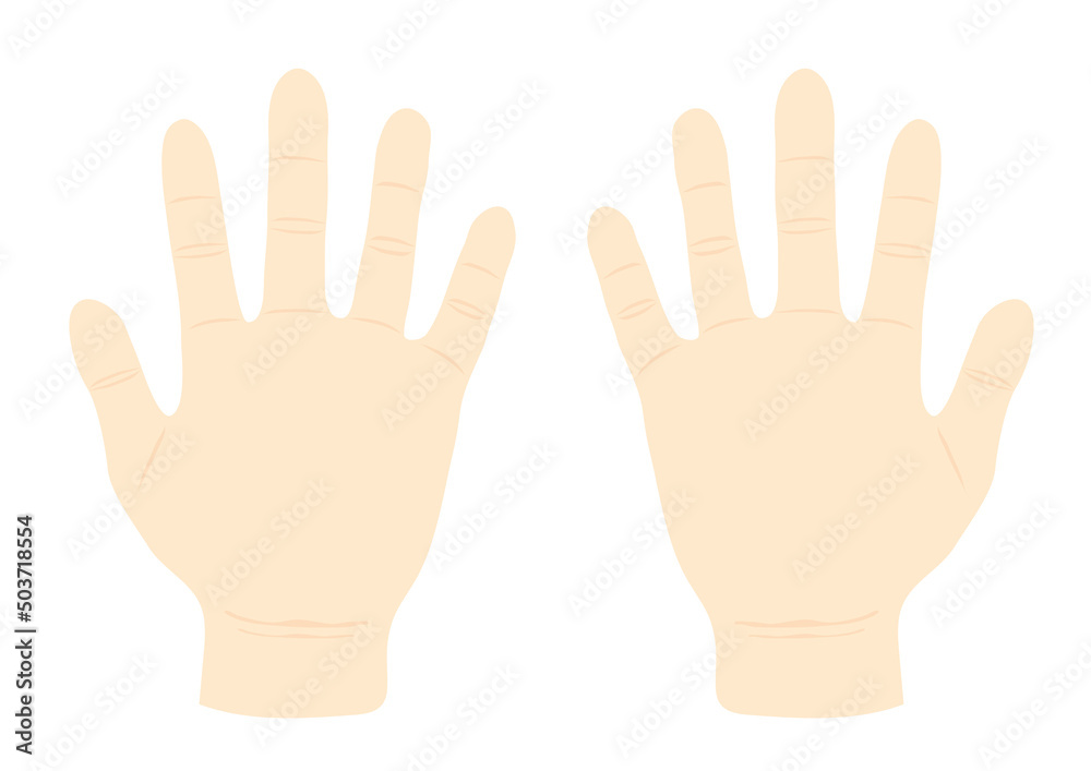Obraz premium パーの状態に開いた両掌