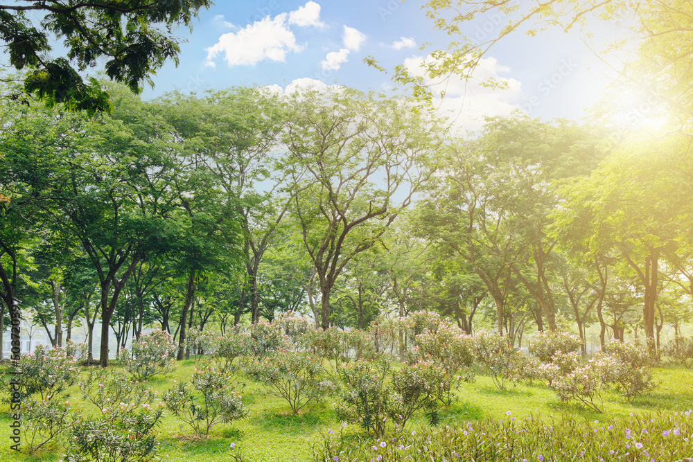 Scenic view of the park with green grass field in city with sun light in morning