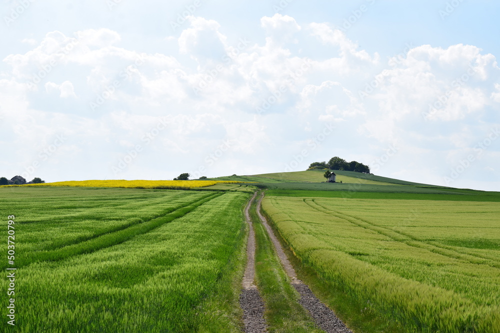 grüne Getreidefelder bei Welling, Kapelle am Hügel