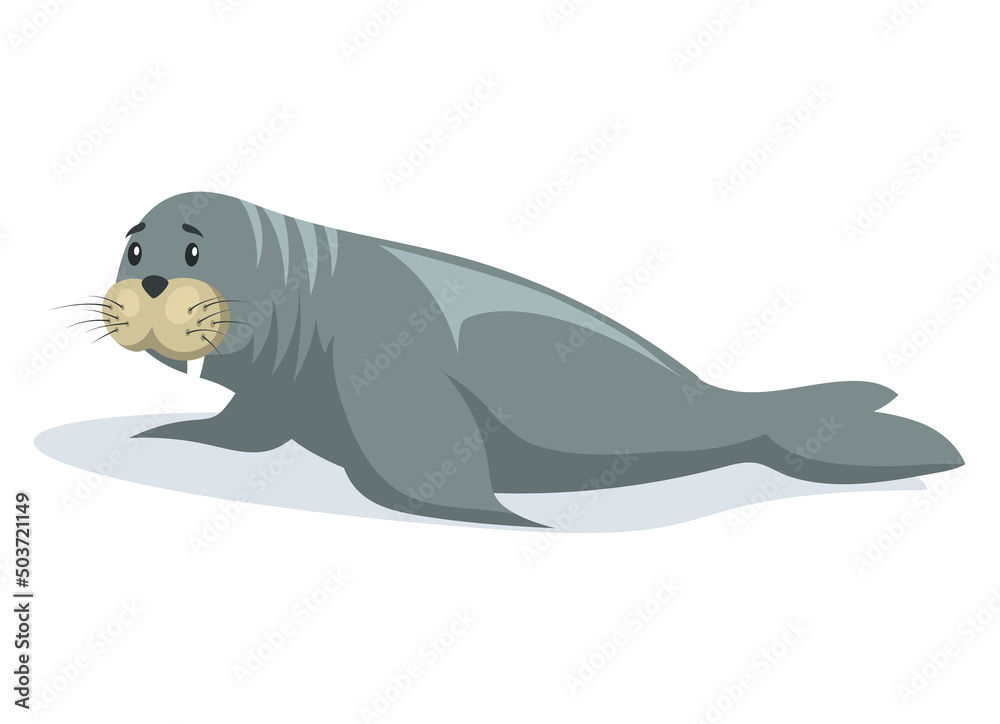 Small seal crawling on belly on ice floe. Wild animal baby sea lion lies on glacier in antarctica. Mammal living in arctic. Sea calf lies sideways on iceberg. Northern animal spends time in habitat Small seal crawling on belly on ice floe. Wild animal baby sea lion lies on glacier in antarctica. Mammal living in arctic. Sea calf lies sideways on iceberg. Northern animal spends time in habitat