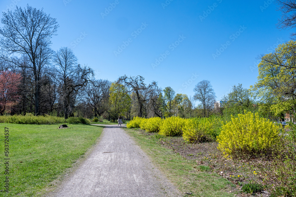 Sunny spring day in early May 2022 in city park Folkparken in Norrkoping. Norrkoping is a historic industrial town in Sweden.