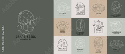 Vector set design templates and emblems - healthy and essential cosmetics oils. Different natural, organic oils. Logos in trendy linear style.