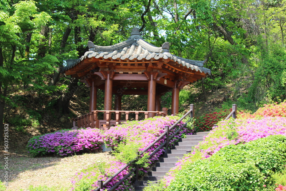 Obraz premium japanese garden