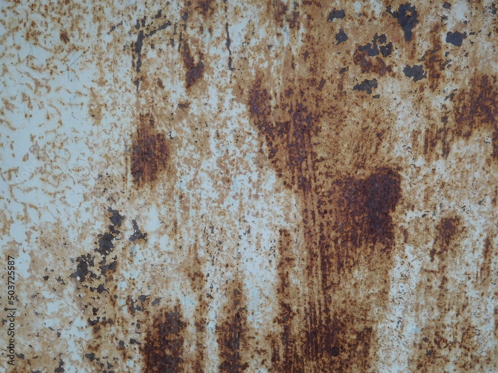 Fototapeta premium rusty metal texture for design in grunge concept