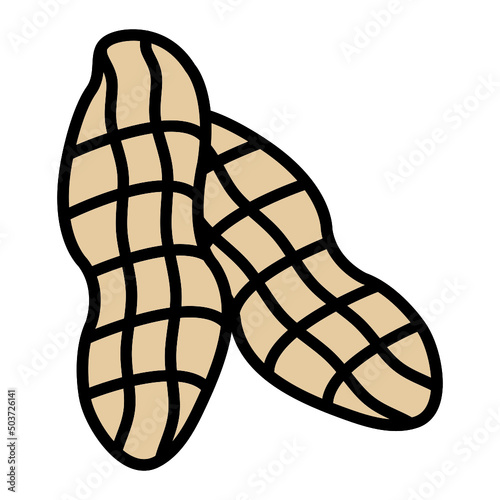 Peanut Icon
