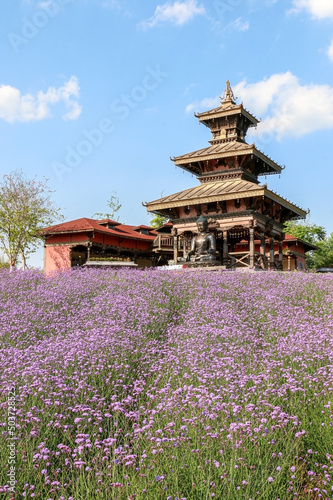 Purpletop Vervain (Verbena Bonariensis) flowers blooming in front of beautiful Nepalese Pavilion temple with buddha statue