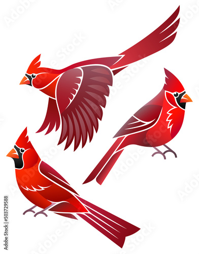 Stylized Birds - Northern Cardinal