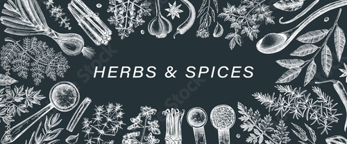 Hand drawn herbs and spices vector banner. Hand sketched food illustration on chalkboard. Vintage aromatic plants hand-drawing. Sketched style. Kitchen spice and herbs black and white design
