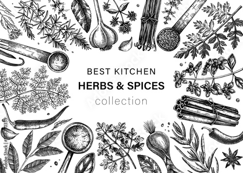 Hand drawn herbs and spices vector frame design. Hand-sketched food illustration. Vintage aromatic plants hand-drawing. Kitchen herbs and spice frame template in sketched style.