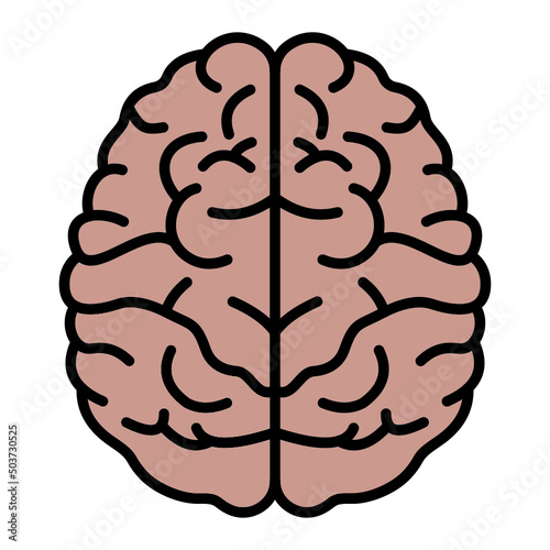 Brain Icon