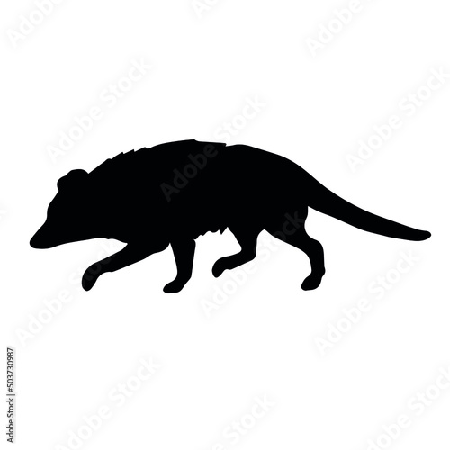 Vector hand drawn doodle sketch opossum silhouette isolated on white background