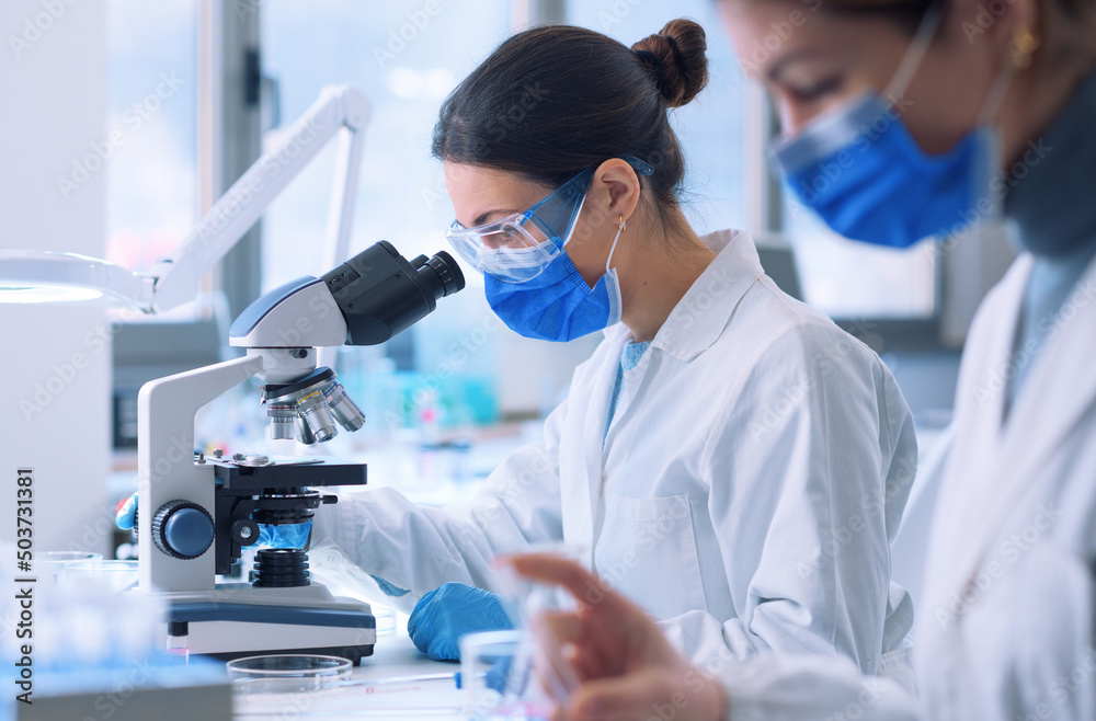 Researcher working in the laboratory Researcher working in the laboratory
