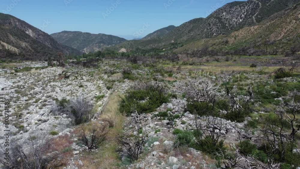 A UAV Drone Aerial Survey of the Mill Creek, California, Wildfire Scar Area in Natural Recovery looking at the Regrowth of Plants in the Area and the Dry Stream Bed from Drought A UAV Drone Aerial Survey of the Mill Creek, California, Wildfire Scar Area in Natural Recovery looking at the Regrowth of Plants in the Area and the Dry Stream Bed from Drought