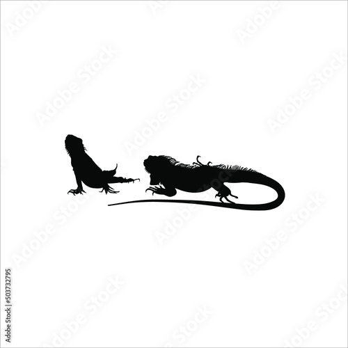 Silhouette of Iguana Reptiles  a genus of herbivorous lizards that are native to tropical areas of Mexico  Central America  South America  and the Caribbean . Vector Illustration 