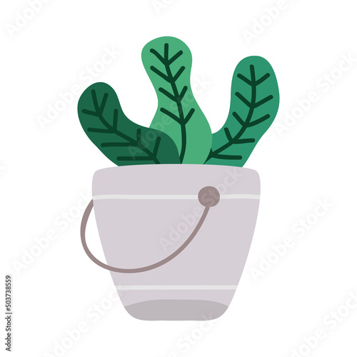 plant in metal bucket