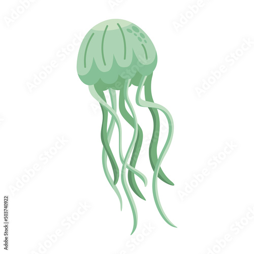 green jellyfish sealife
