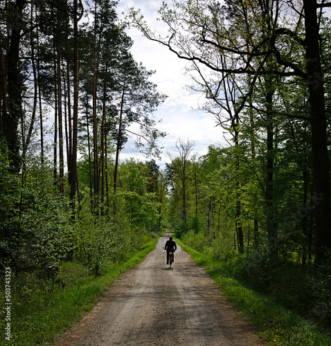 Recreational bike ride on a forest road in early spring. © Adam